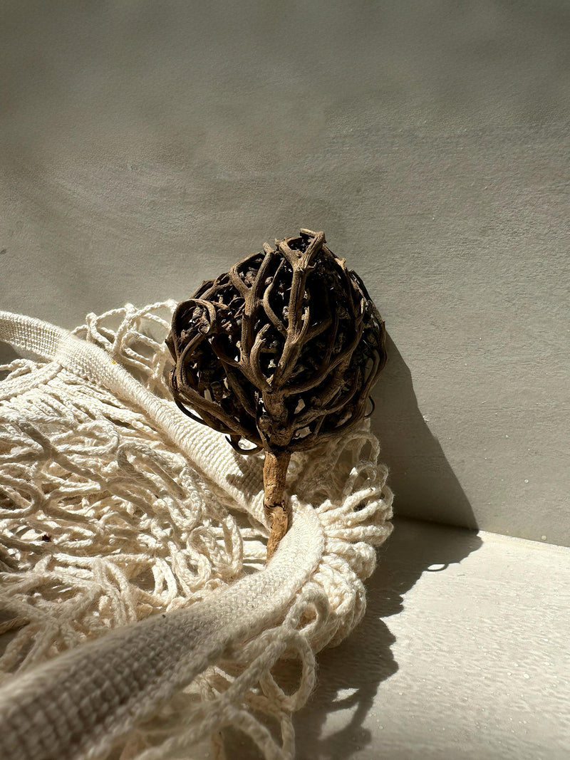 Sachets de 2 chajarat maryam